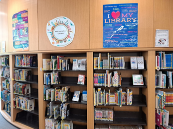 Library Books on Book Shelf